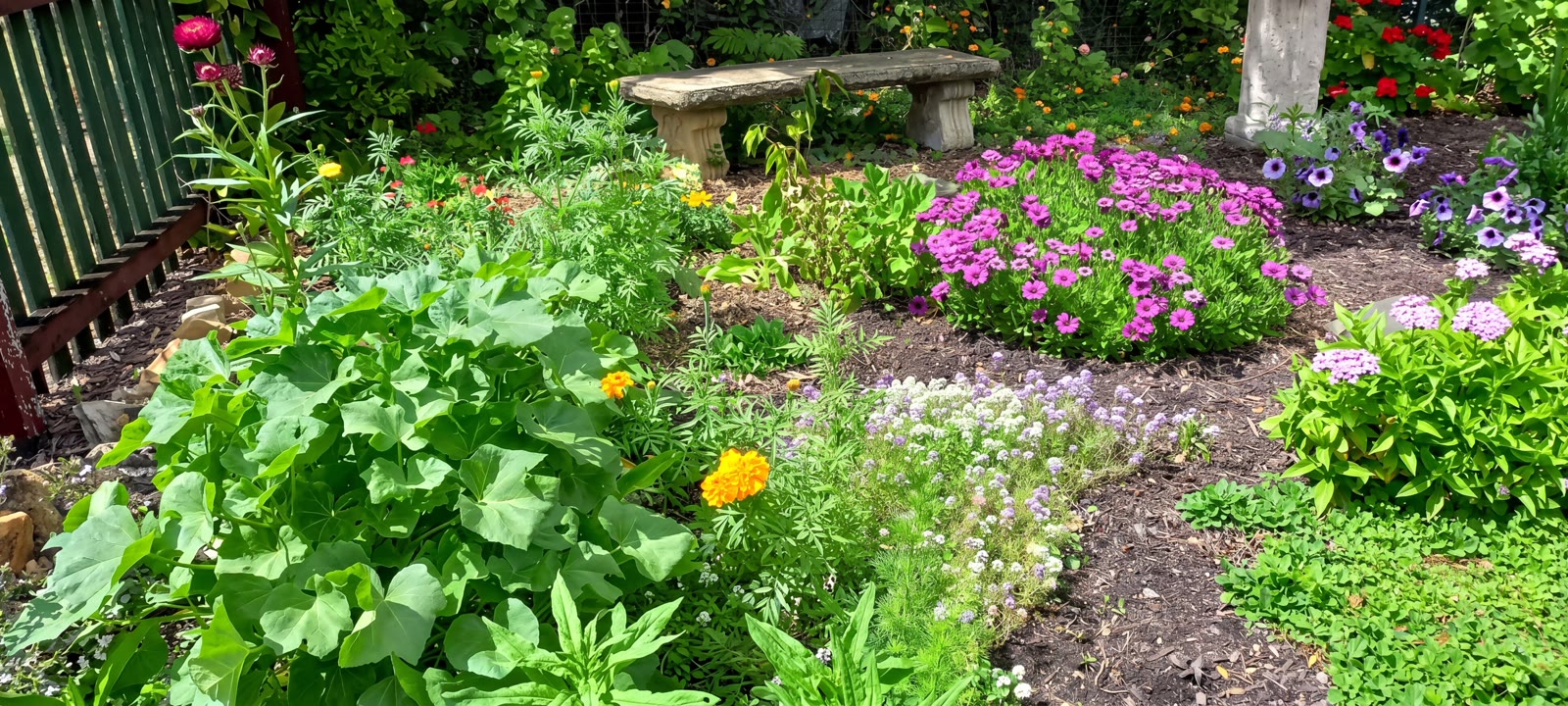 Established gardens bursting with colour