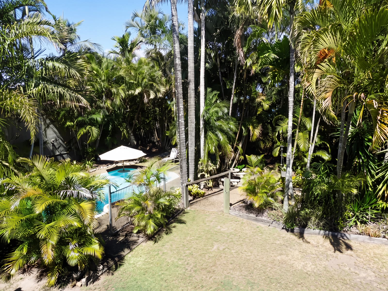 A refreshing dip framed by tropical palms